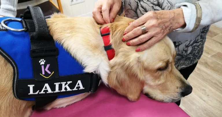 Laika perra de terapia de Maylos Rodrigo