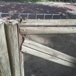 area canina vistalegre