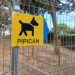 Viven sin un pipican digno en el Raval de Badalona