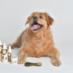 Chiwi's Pet Care