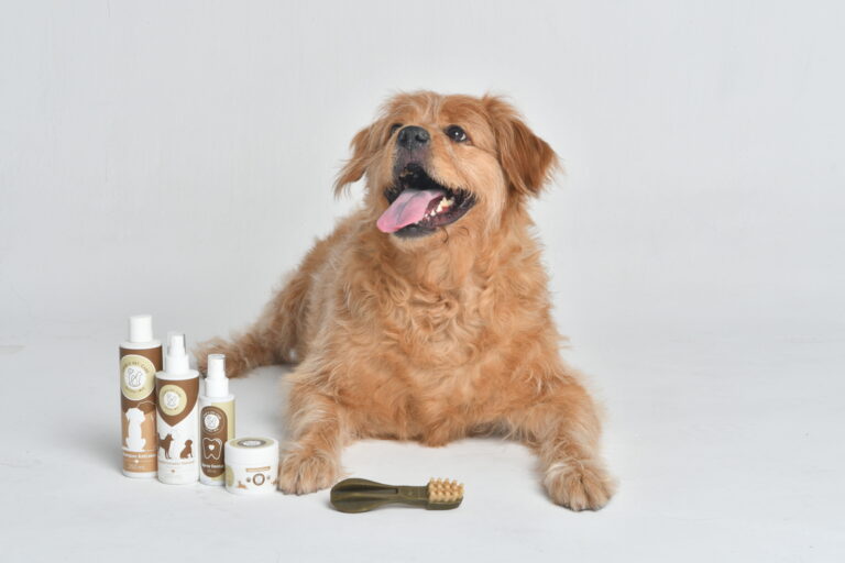 Chiwi's Pet Care