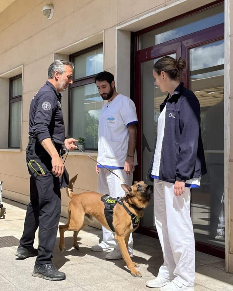 Acana organiza una exhibición de perros policía en una residencia de mayores en Villanueva de la Cañada