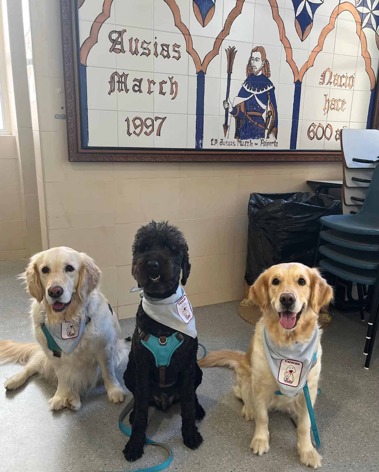 3 perros de intervenci贸n asistida