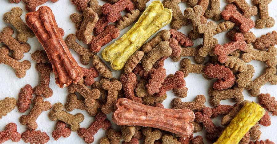 Propietarios de perros ofrecen premios casi a diario