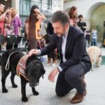 consejero Miguel Ángel García Martín alabó la sensibilidad de los jueces