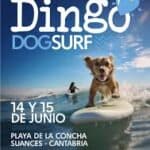 DingoDog Surf Campeonato Europeo para perros