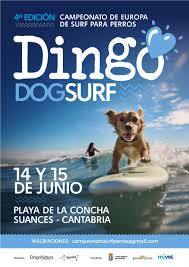 DingoDog Surf Campeonato Europeo para perros