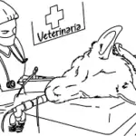 Evaluación de un fármaco prometedor para la trombocitopenia inmunomediada canina.