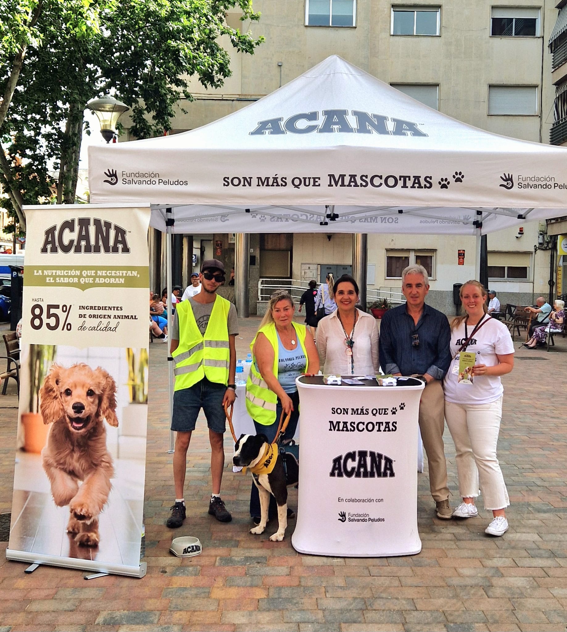 Acana cierra exitosamente su campaña