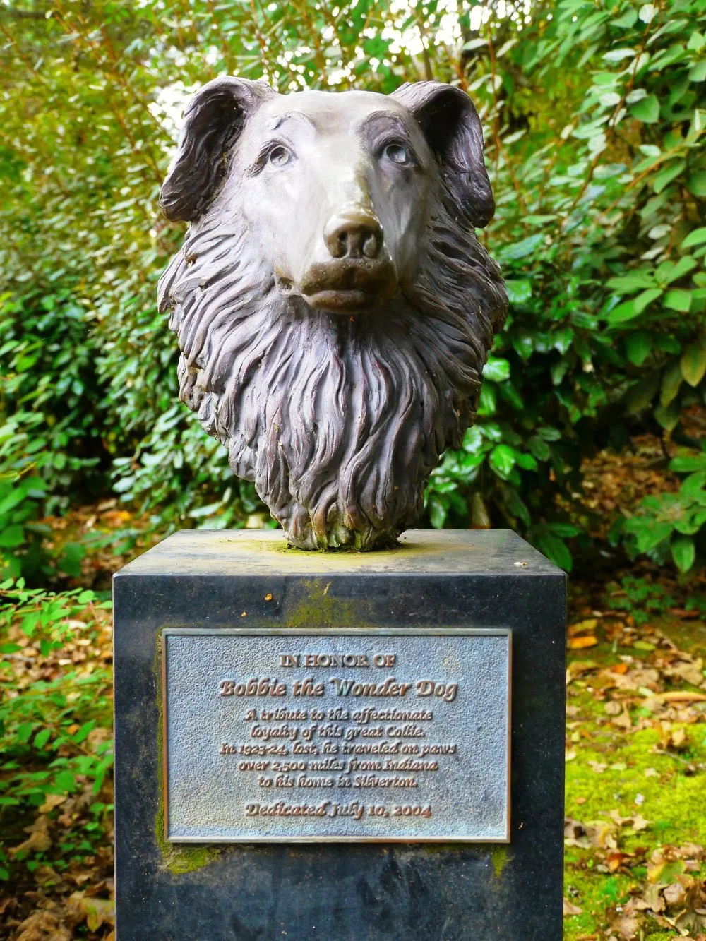 Bobby, el perro que cruzó Estados Unidos por amor