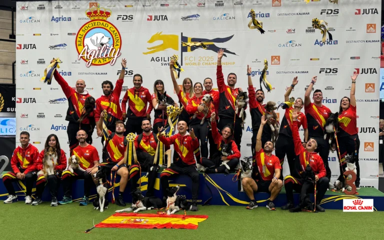 España conquista Suecia: triplete histórico en el Mundial de Agility FCI 2025