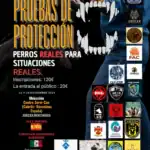 👉 Campeonato Internacional de Perros de Protección en Cabrils