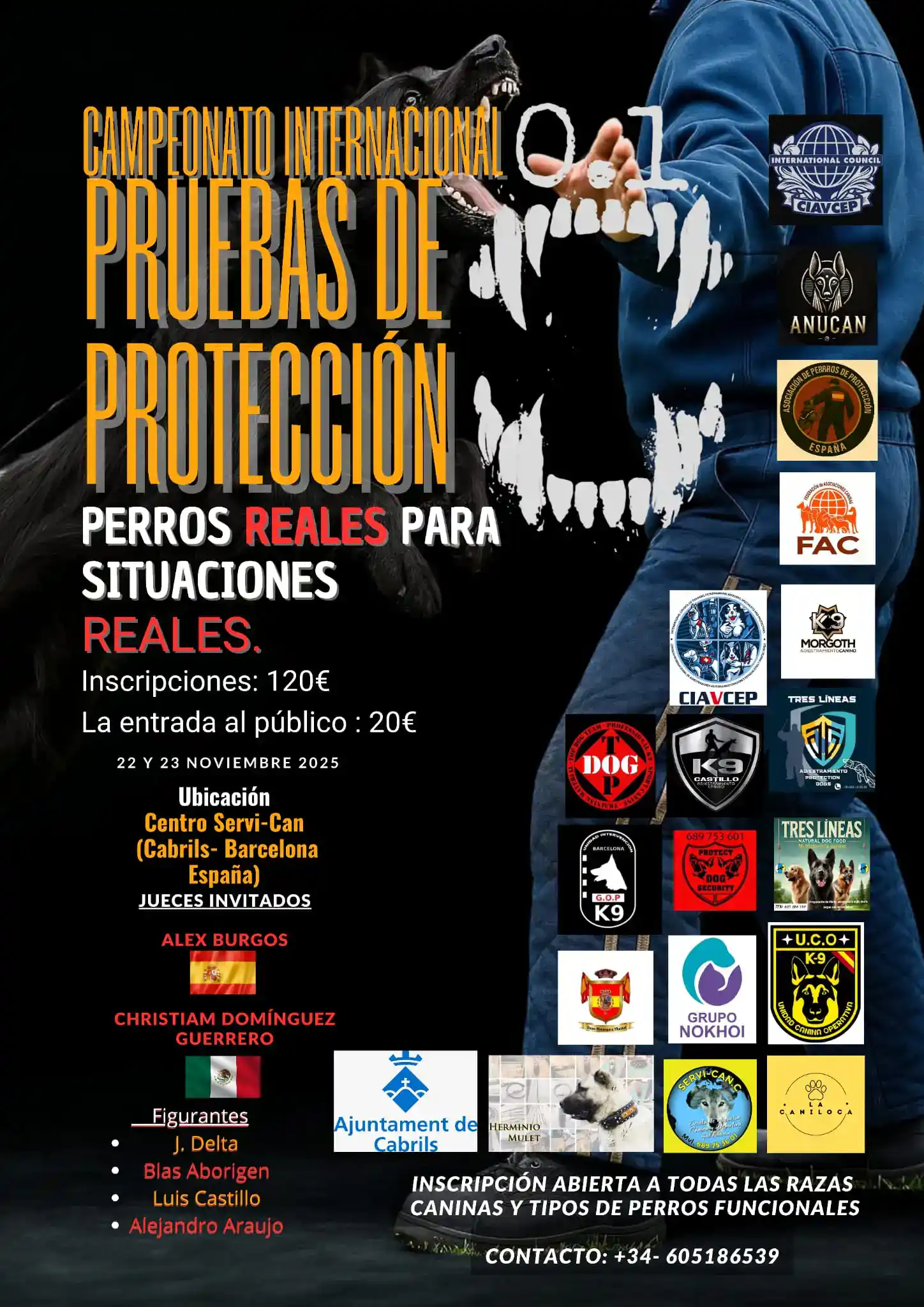👉 Campeonato Internacional de Perros de Protección en Cabrils