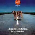 No abandones