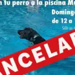 Madrid prohíbe actividades acuáticas caninas en Parla y Fuenlabrada.