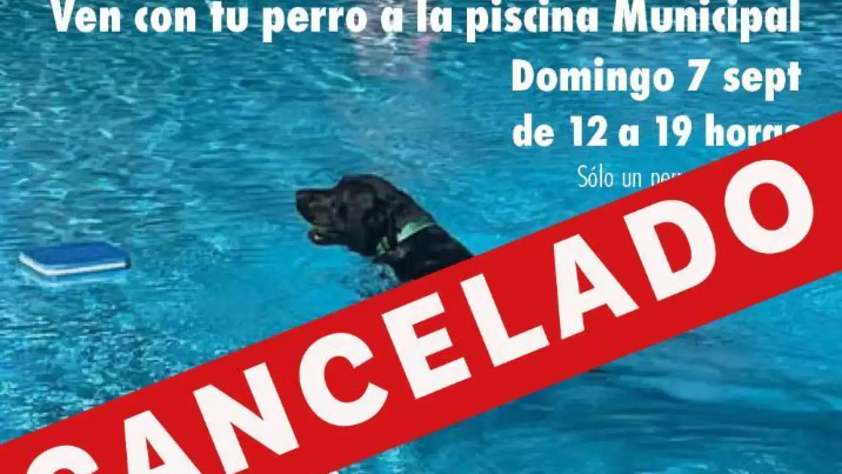 Madrid prohíbe actividades acuáticas caninas en Parla y Fuenlabrada.
