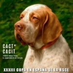 Gran Fin de Semana del Perro de Muestra 2025