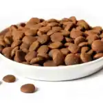 La mejor opción es elegir comida real y saludable que satisfaga las necesidades de tu perro.