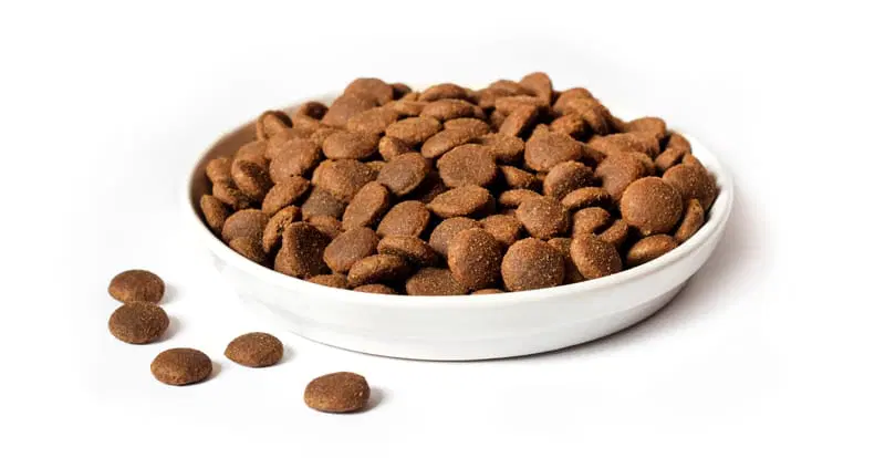 La mejor opción es elegir comida real y saludable que satisfaga las necesidades de tu perro.