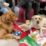 Día mundial de la salud mental