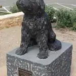 Bob, el perro ferroviario que conquistó Australia