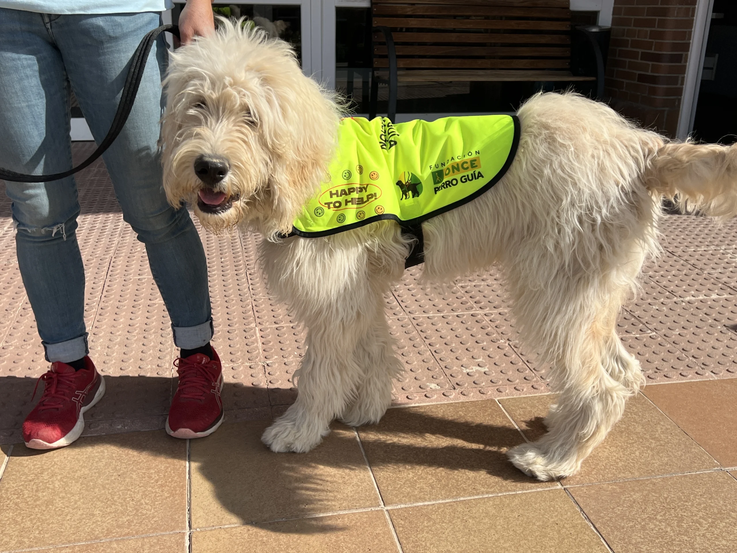 Nuevos chalecos Fundación ONCE Perro Guía