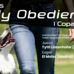 Primer rally obedience