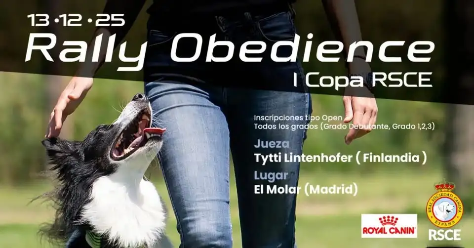 Primer rally obedience