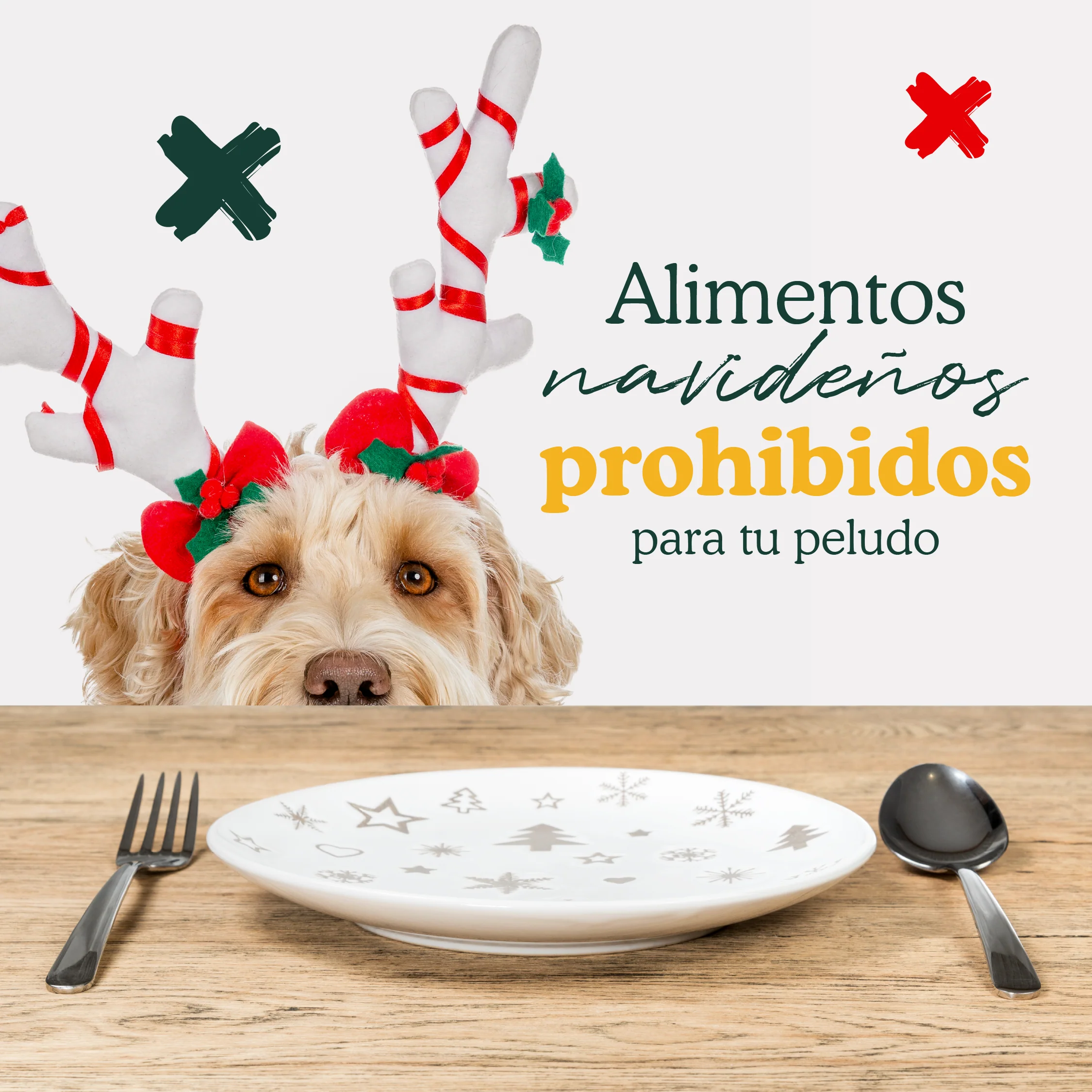 Alimentos navideños prohibidos perros