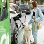 Estaciones de servicio pet friendly