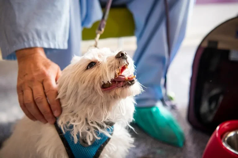 Hospital Universitario de Getafe