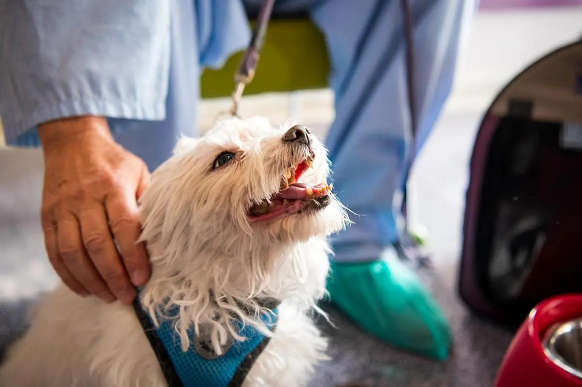 Hospital Universitario de Getafe