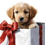 REGALAR UN PERRO ESTAS NAVIDADES