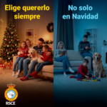 Abandonan tras la navidad
