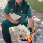 Dylan perro del grupo cinológico de la guardia civil