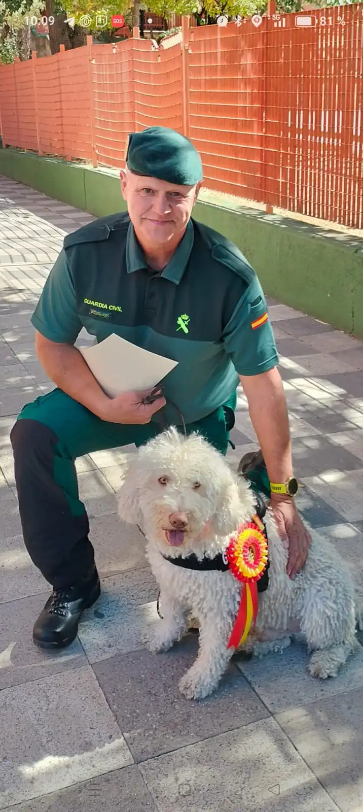 Dylan perro del grupo cinológico de la guardia civil