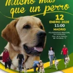 Exhibición Perro Guía