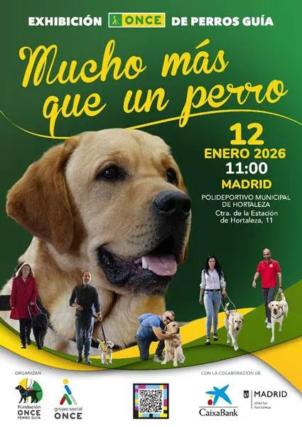 Exhibición Perro Guía