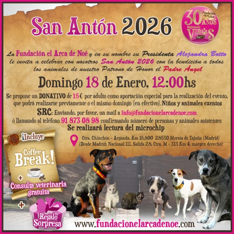 San Antón 2026