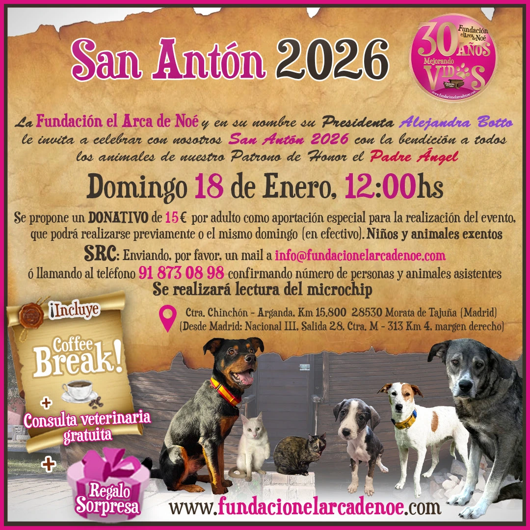 San Antón 2026