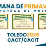 Semana de primavera perros de muestra