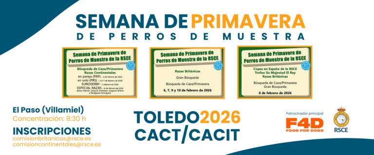 Semana de primavera perros de muestra