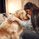 razas de perros que ayudan a superar la depresión