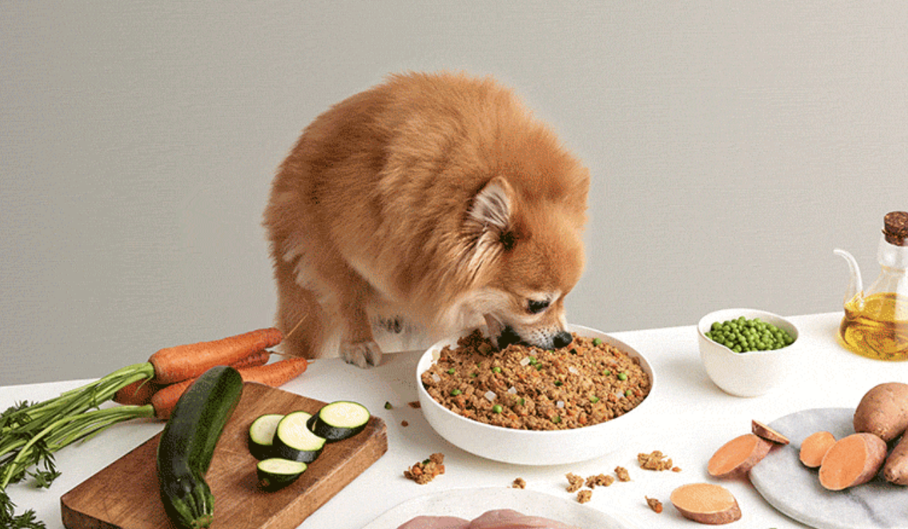 Cambiar la dieta de los perros puede ayudar más al planeta 