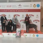Fimascota 2026