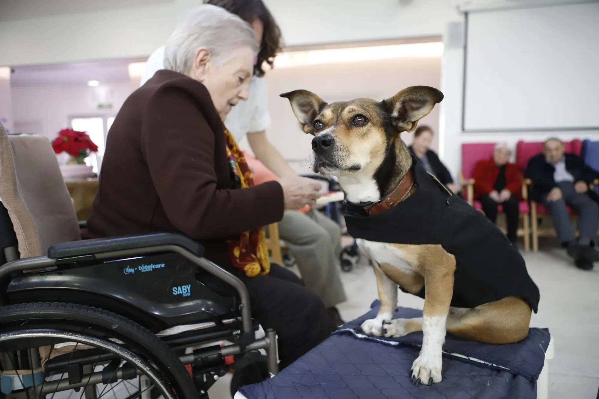 Frida, la perra de terapia que combate la soledad en una residencia de Zaragoza