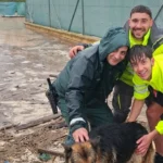 Guardia Civil rescata a cuatro perros de las inundaciones causadas por Leonardo