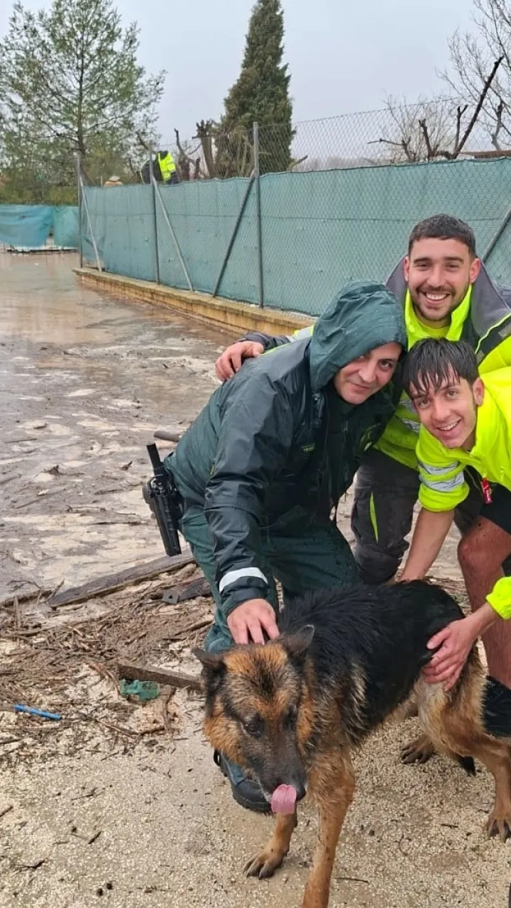 Guardia Civil rescata a cuatro perros de las inundaciones causadas por Leonardo