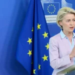 La Comisión Europea registra iniciativa ciudadana para proteger a perros y gatos callejeros.