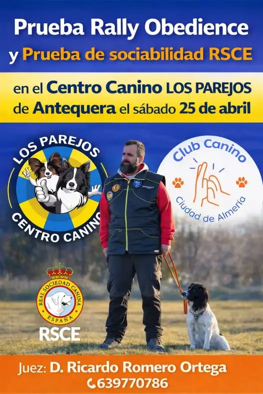 Obedience y sociabilidad